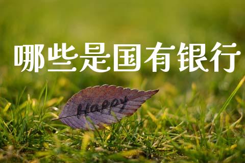 哪些是国有银行_https://cj004.lansai.wang_期货开户_第1张