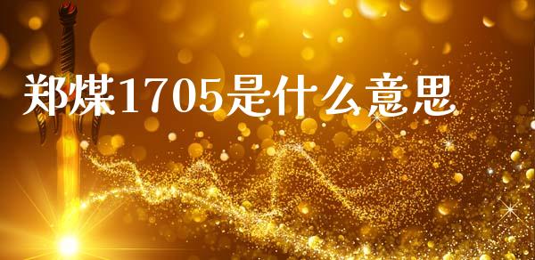 郑煤1705是什么意思_https://cj004.lansai.wang_期货开户_第1张