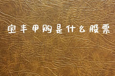 宝丰甲购是什么股票_https://cj004.lansai.wang_外汇交易_第1张