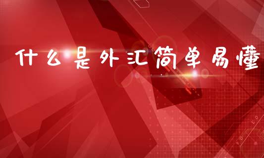 什么是外汇简单易懂_https://cj004.lansai.wang_全球市场_第1张