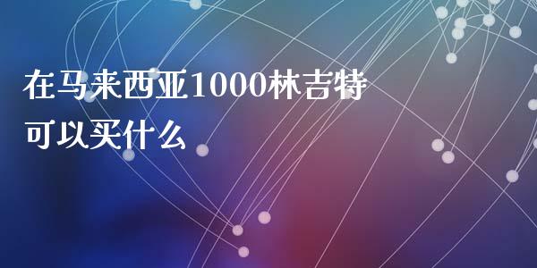 在马来西亚1000林吉特可以买什么_https://cj004.lansai.wang_外汇交易_第1张