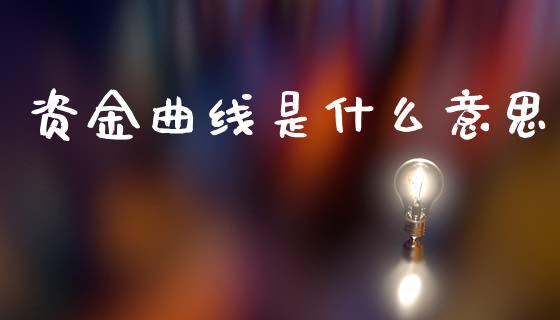 资金曲线是什么意思_https://cj004.lansai.wang_金融监管_第1张