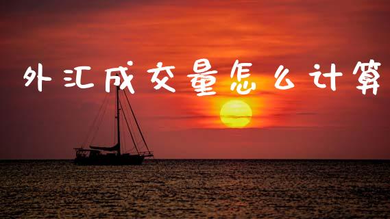 外汇成交量怎么计算_https://cj004.lansai.wang_金融监管_第1张