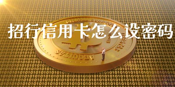 招行信用卡怎么设密码_https://cj004.lansai.wang_债券资讯_第1张