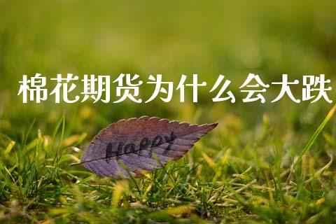 棉花期货为什么会大跌_https://cj004.lansai.wang_全球市场_第1张