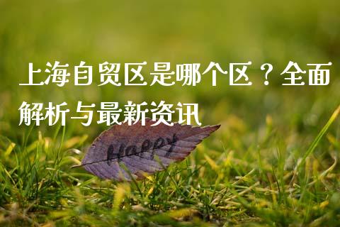 上海自贸区是哪个区？全面解析与最新资讯_https://cj004.lansai.wang_外汇交易_第1张