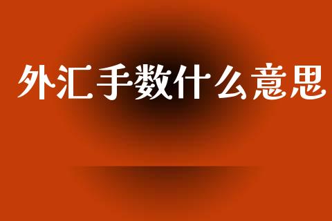 外汇手数什么意思_https://cj004.lansai.wang_期货开户_第1张