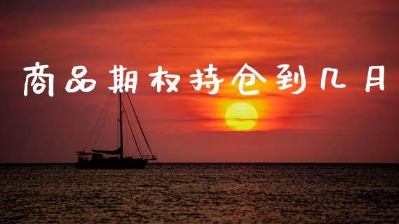 商品期权持仓到几月_https://cj004.lansai.wang_外汇交易_第1张