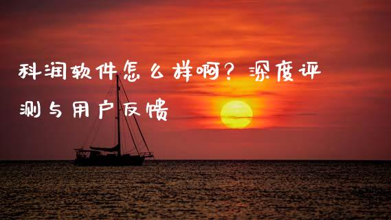 科润软件怎么样啊？深度评测与用户反馈_https://cj004.lansai.wang_金融监管_第1张