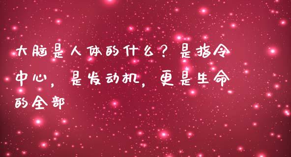大脑是人体的什么？是指令中心，是发动机，更是生命的全部_https://cj004.lansai.wang_外汇交易_第1张