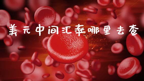 美元中间汇率哪里去查_https://cj004.lansai.wang_全球市场_第1张