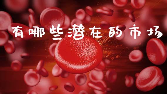 有哪些潜在的市场_https://cj004.lansai.wang_期货开户_第1张