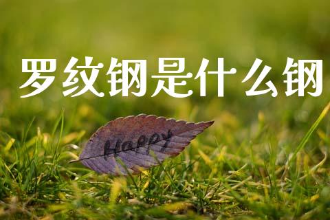 罗纹钢是什么钢_金融监管_第1张_期货开户_金融监管_外汇交易_债券资讯_全球市场_财经新闻 罗纹钢是什么钢_https://cj004.lansai.wang_金融监管_第1张