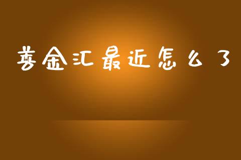 善金汇最近怎么了_https://cj004.lansai.wang_期货开户_第1张