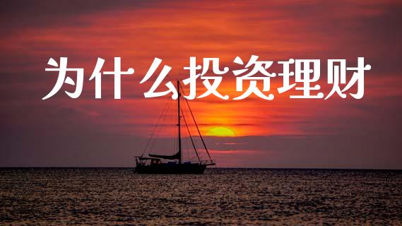 为什么投资理财_https://cj004.lansai.wang_债券资讯_第1张