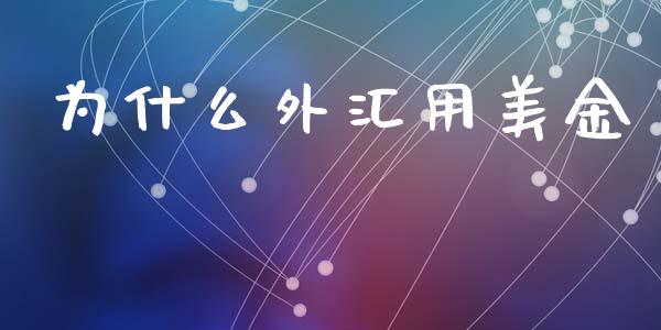 为什么外汇用美金_https://cj004.lansai.wang_债券资讯_第1张