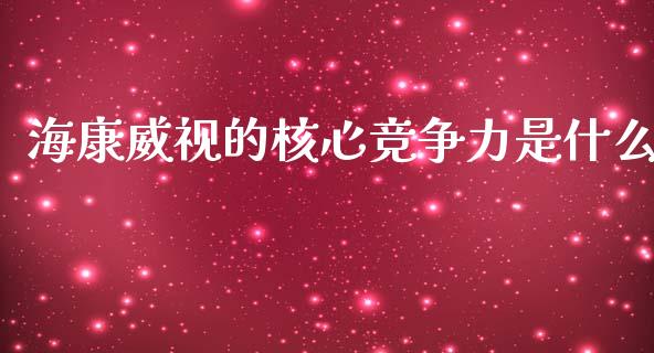 海康威视的核心竞争力是什么_https://cj004.lansai.wang_金融监管_第1张