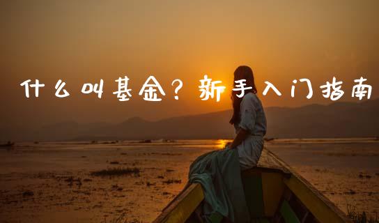 什么叫基金?新手入门指南_金融监管_第1张_期货开户_金融监管_外汇交易_债券资讯_全球市场_财经新闻 什么叫基金?新手入门指南_https://cj004.lansai.wang_金融监管_第1张