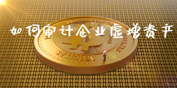 如何审计企业虚增资产_https://cj004.lansai.wang_财经新闻_第1张