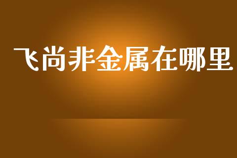 飞尚非金属在哪里_https://cj004.lansai.wang_财经新闻_第1张