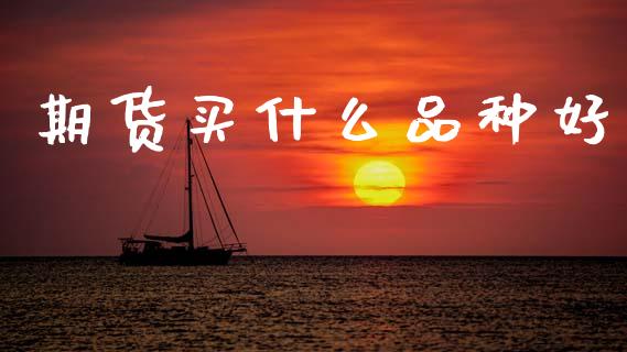 期货买什么品种好_https://cj004.lansai.wang_期货开户_第1张