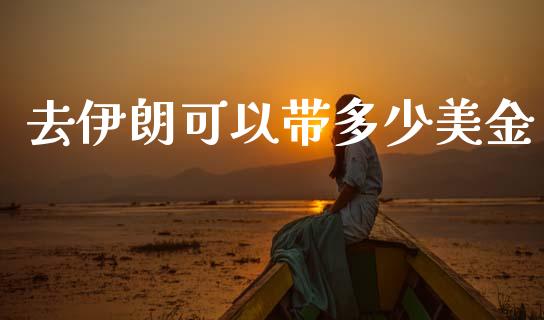 去伊朗可以带多少美金_https://cj004.lansai.wang_全球市场_第1张