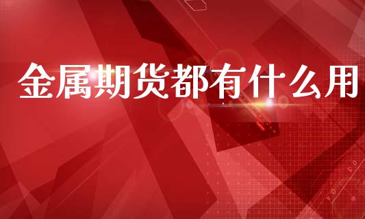 金属期货都有什么用_https://cj004.lansai.wang_全球市场_第1张