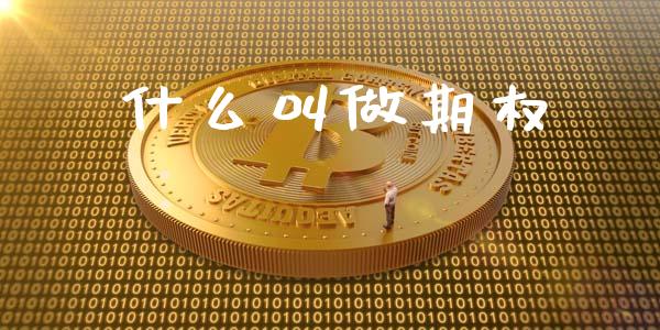什么叫做期权_https://cj004.lansai.wang_全球市场_第1张