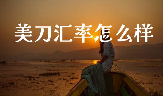 美刀汇率怎么样_https://cj004.lansai.wang_财经新闻_第1张