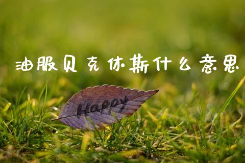 油服贝克休斯什么意思_https://cj004.lansai.wang_外汇交易_第1张