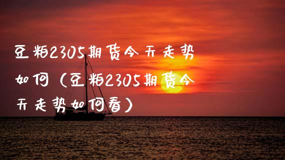豆粕2305期货今天走势如何（豆粕2305期货今天走势如何看）_https://cj004.lansai.wang_财经新闻_第1张