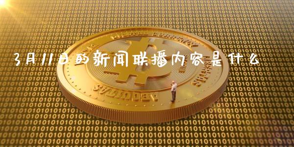 3月11日的新闻联播内容是什么_https://cj004.lansai.wang_外汇交易_第1张