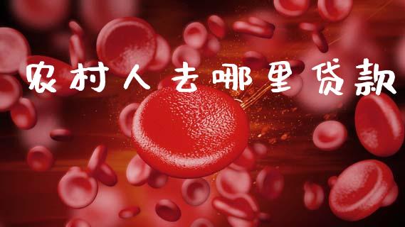 农村人去哪里贷款_https://cj004.lansai.wang_债券资讯_第1张