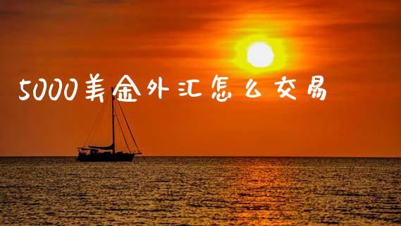 5000美金外汇怎么交易_https://cj004.lansai.wang_债券资讯_第1张