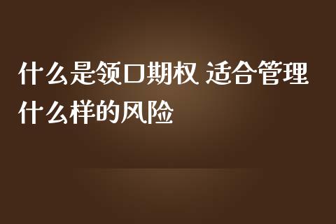 什么是领口期权 适合管理什么样的风险_https://cj004.lansai.wang_财经新闻_第1张