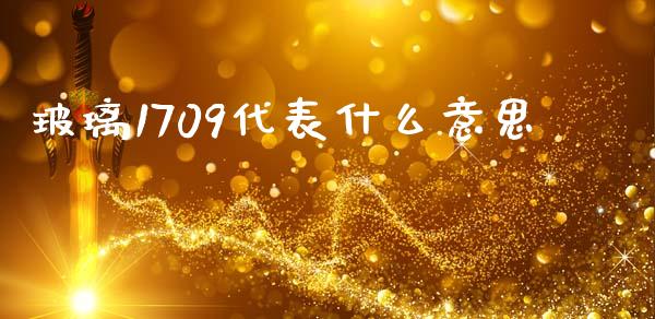 玻璃1709代表什么意思_https://cj004.lansai.wang_债券资讯_第1张