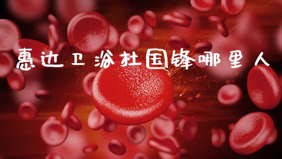 惠达卫浴杜国锋哪里人_https://cj004.lansai.wang_金融监管_第1张