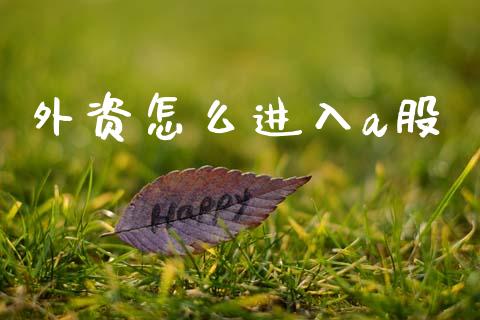 外资怎么进入a股_https://cj004.lansai.wang_期货开户_第1张