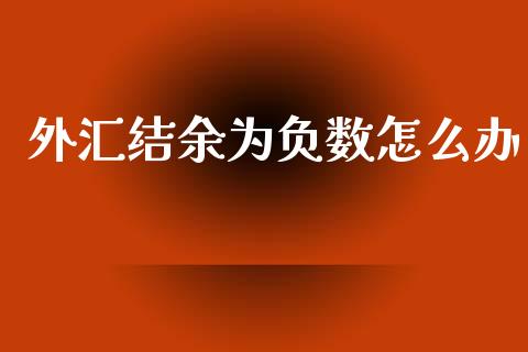 外汇结余为负数怎么办_https://cj004.lansai.wang_全球市场_第1张