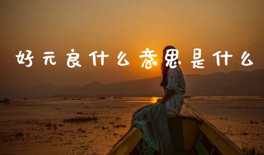 好元良什么意思是什么_https://cj004.lansai.wang_财经新闻_第1张
