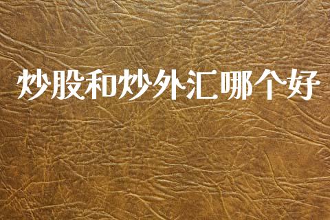 炒股和炒外汇哪个好_https://cj004.lansai.wang_金融监管_第1张