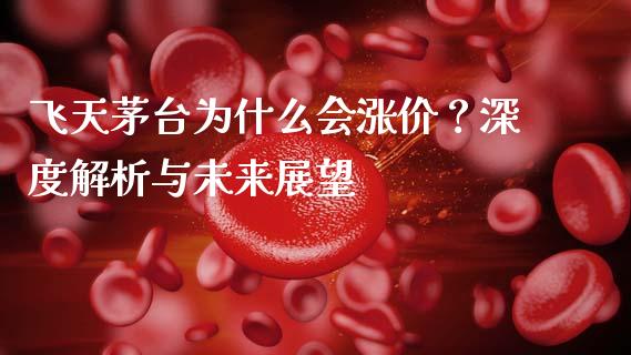 飞天茅台为什么会涨价？深度解析与未来展望_https://cj004.lansai.wang_期货开户_第1张