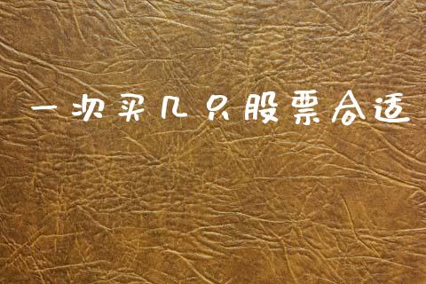 一次买几只股票合适_https://cj004.lansai.wang_外汇交易_第1张