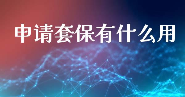 申请套保有什么用_https://cj004.lansai.wang_金融监管_第1张