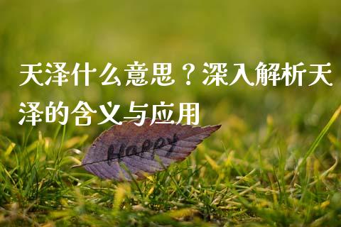 天泽什么意思？深入解析天泽的含义与应用_https://cj004.lansai.wang_金融监管_第1张