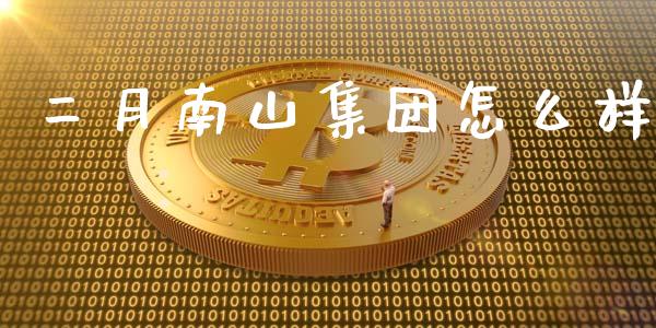 二月南山集团怎么样_https://cj004.lansai.wang_期货开户_第1张