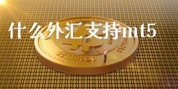 什么外汇支持mt5_https://cj004.lansai.wang_财经新闻_第1张