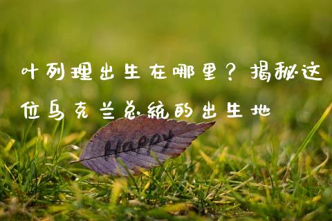 叶列理出生在哪里？揭秘这位乌克兰总统的出生地_https://cj004.lansai.wang_财经新闻_第1张