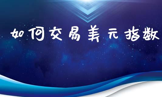 如何交易美元指数_https://cj004.lansai.wang_金融监管_第1张