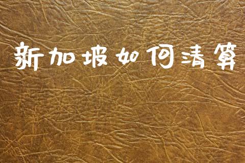 新加坡如何清算_https://cj004.lansai.wang_金融监管_第1张